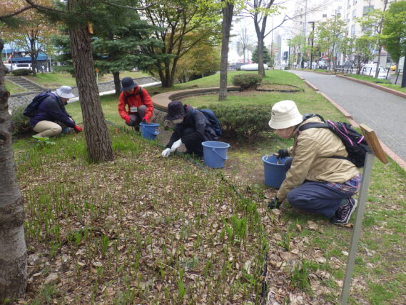 スズラン花壇の除草をするお助け隊