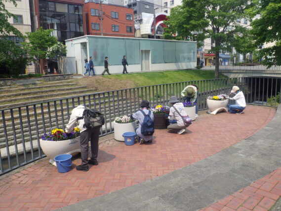 狸二条広場のコンテナ花壇のお手入れをする花くらぶ
