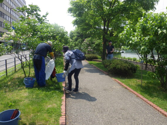 芝生の中の除草をする除草ボランティア