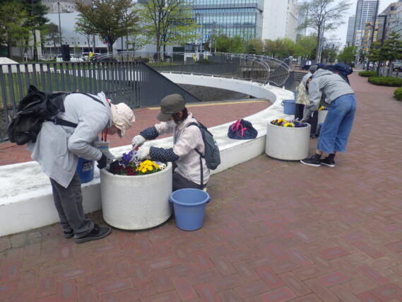 まんなか広場のコンテナ花壇のお手入れをする花くらぶ