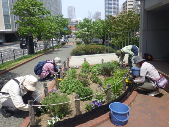 花壇のお手入れをする花くらぶ
