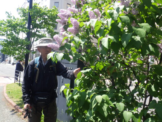 植物ボランティアの指導をする笠先生