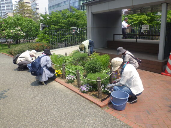 花壇のお手入れをする花くらぶ