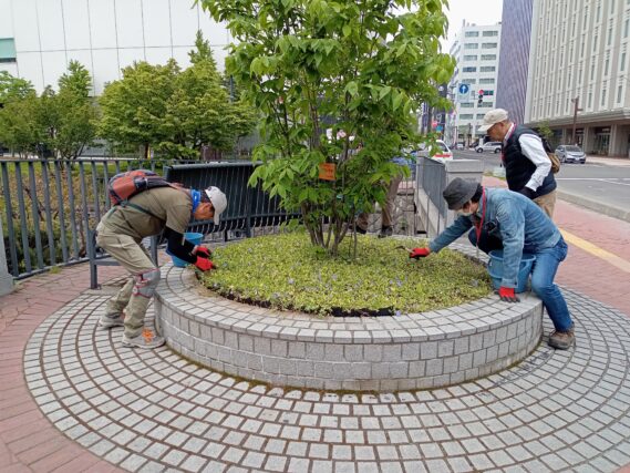 円形ますの除草をするお助け隊