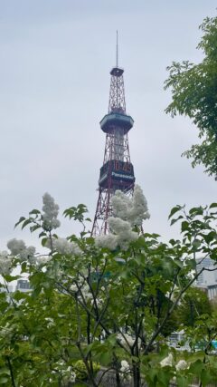 ライラック投稿写真「街のシンボルとコラボして」