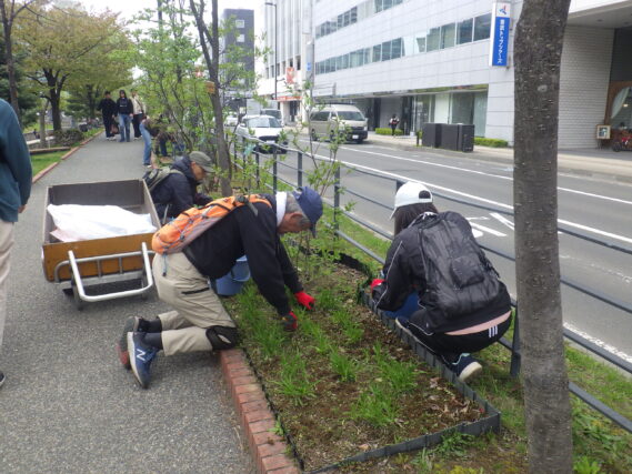 ヘメロカリス花壇の除草をするお助け隊
