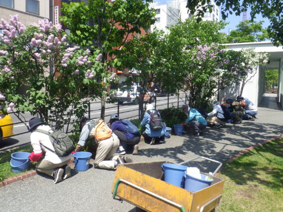 花壇の除草をするお助け隊
