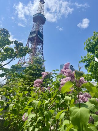 ライラック投稿写真「テレビ塔と共に」