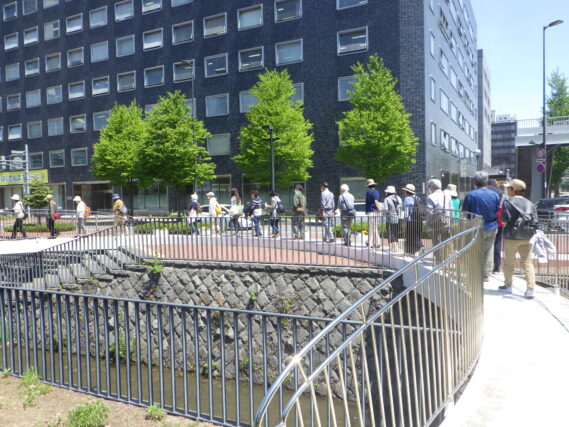 夏の公園とライラックツアーの様子