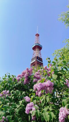ライラック投稿写真「自慢の風景」