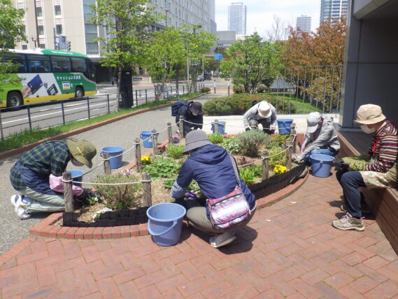 花壇のお手入れをする花くらぶ