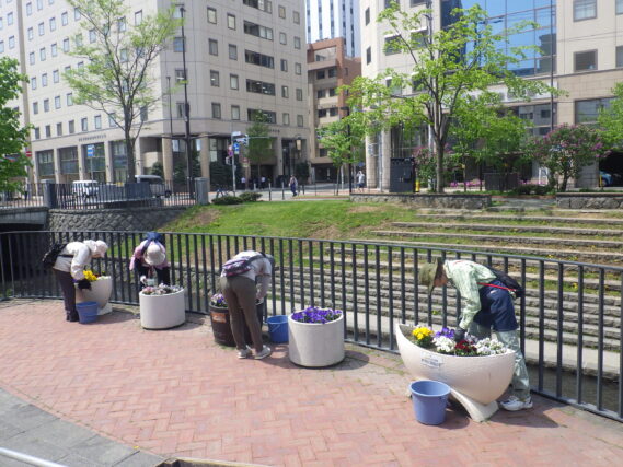 狸二条広場のコンテナ花壇のお手入れをする花くらぶ