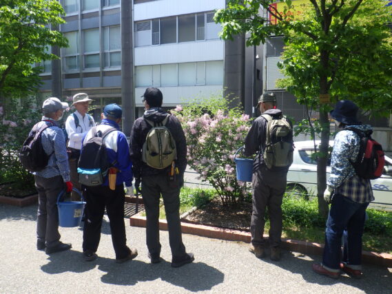 笠先生の指導を受ける植物ボランティア