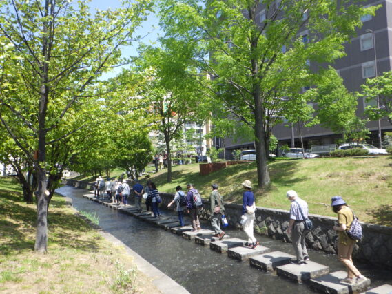 「ガイドツアーとライラックと園内の花」の画像