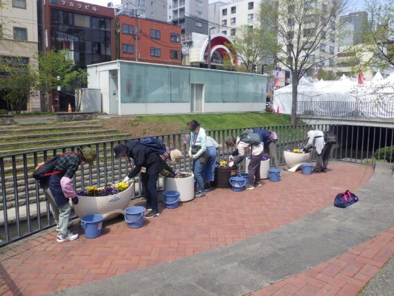 狸二条広場のコンテナ花壇のお手入れをする花くらぶ