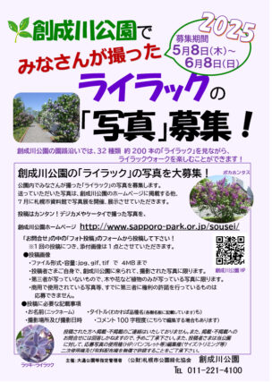 「公園に咲くライラックの写真募集！」の画像