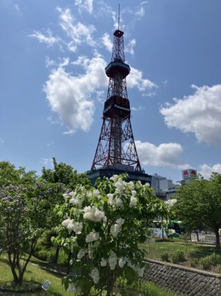 ライラック投稿写真「ライラックとベストコンビ」