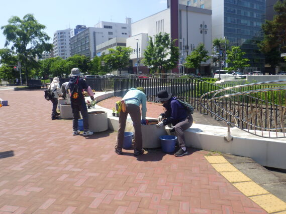 まんなか広場のコンテナに花を植えこむ花くらぶ