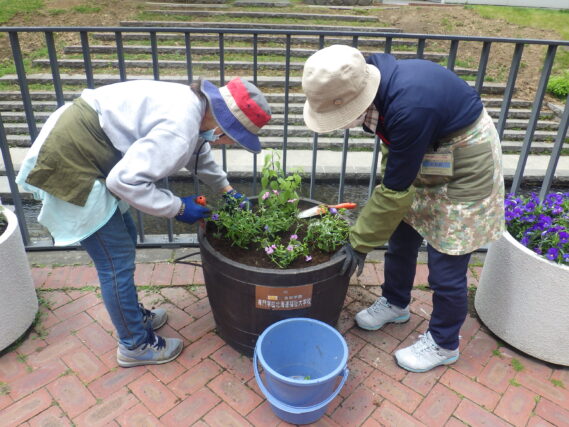 「今週の公園ボランティア」の画像