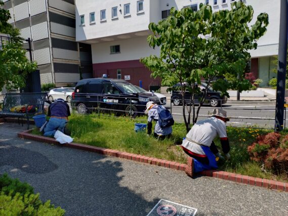 南1条で除草作業をする除草ボランティア