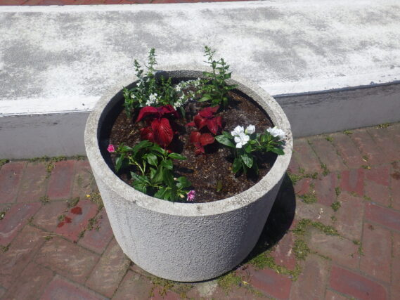 花苗を植えかけたコンテナ花壇