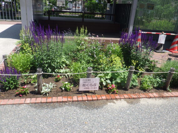 花壇の様子