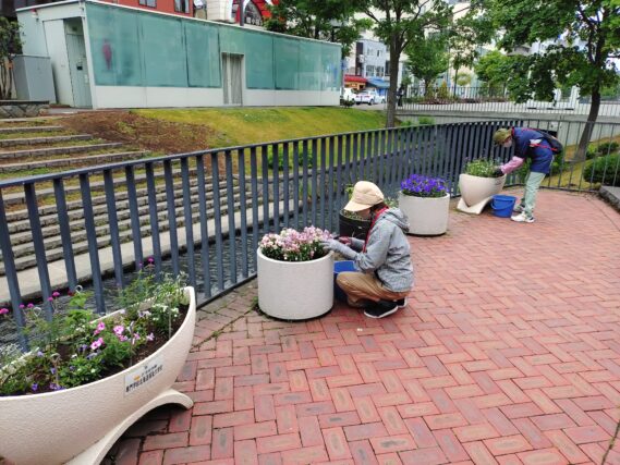 コンテナ花壇の管理をする花くらぶ