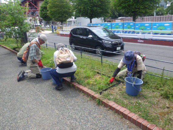 ヘメロカリス花壇の除草をするお助け隊