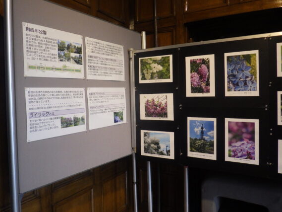 ライラック写真展の展示の様子