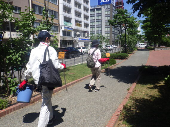 ヘメロカリスの花名板付けを行うお助け隊のメンバー