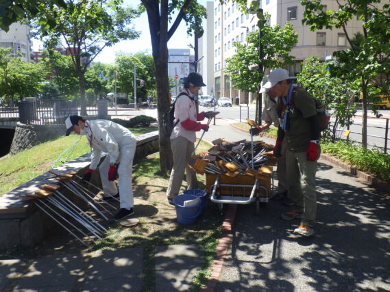 ヘメロカリスの花名板付けを行うお助け隊のメンバー
