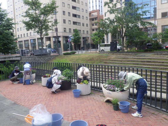 狸二条広場のコンテナ花壇のお手入れをする花くらぶ