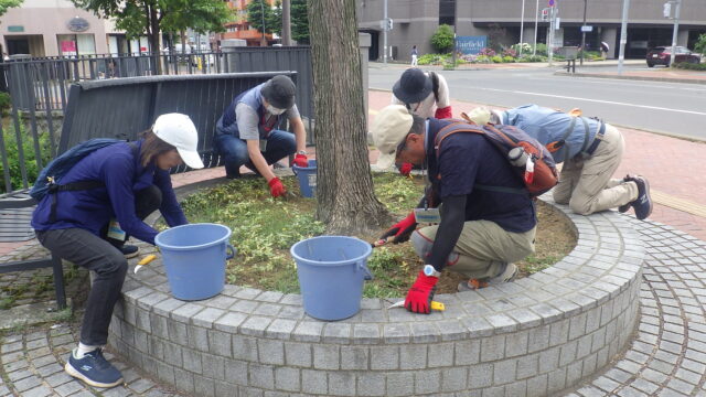 円形ますの除草をするお助け隊