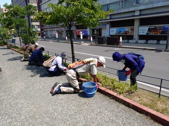 ヘメロカリス花壇の除草をするお助け隊