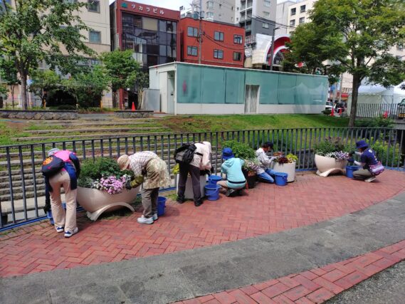 狸二条広場のコンテナ花壇のお手入れをする花くらぶ