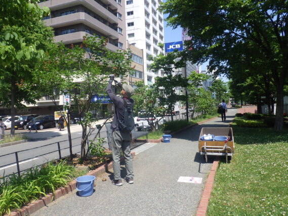ライれあっくの花がら摘みをする植物ボランティア