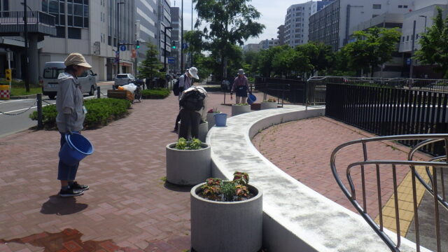 まんなか広場のコンテナのお手入れをする花くらぶ