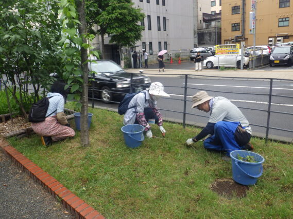南2条で芝生の除草をする除草ボランティア