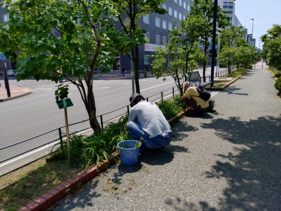 ヘメロカリス花壇の除草をするお助け隊