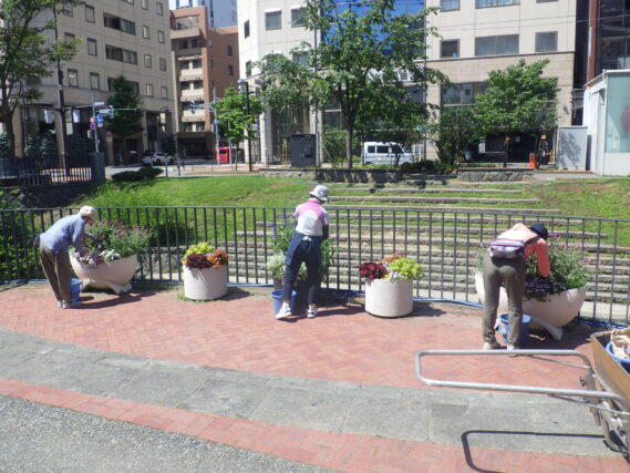 狸二条コンテナ花壇のお手入れをする花くらぶ