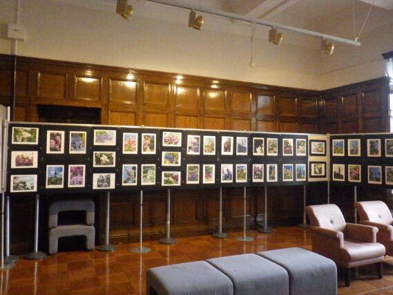 「「ライラック写真展」始まりました」の画像