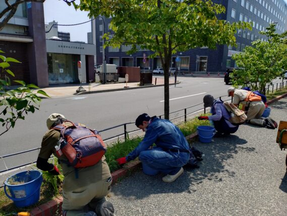 ヘメロカリス花壇の除草をするお助け隊