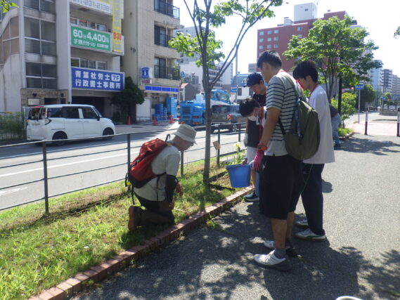 除草ボランティアに指導を受ける高校生ボランティア