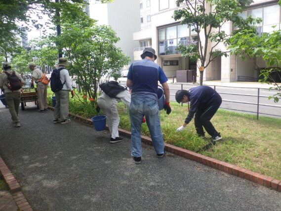 お助け隊に参加してヘメロカリスの茎刈りをする高校生ボランティア