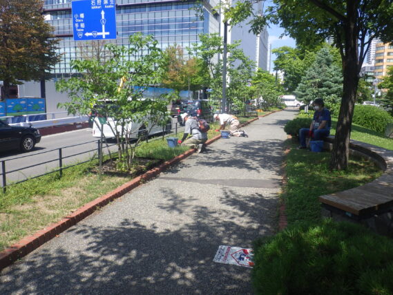 北1条東側でヘメロカリス花壇の除草をするお助け隊