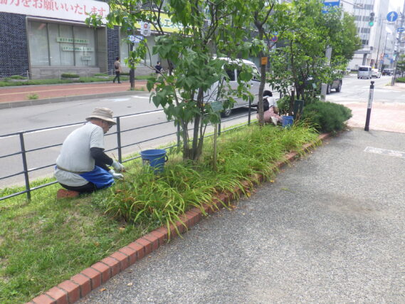 除草作業をする除草ボランティア
