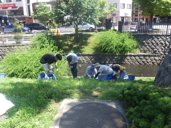 「今週の公園ボランティアと高校生ボランティア」の画像