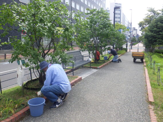 除草作業をする除草ボランティア