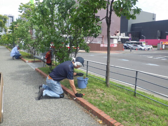 除草作業をする除草ボランティア