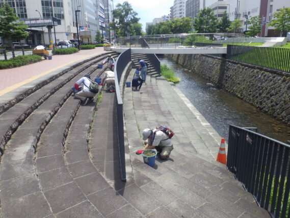 階段の除草をするお助け隊と高校生ボランティア